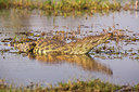 BUITEN BEELD Foto: 228134