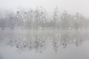 BUITEN BEELD Foto: 228140