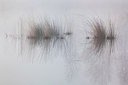 BUITEN BEELD Foto: 228159