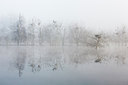 BUITEN BEELD Foto: 228165