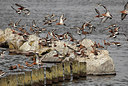 BUITEN BEELD Foto: 228278
