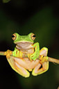BUITEN BEELD Foto: 228326