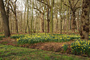 BUITEN BEELD Foto: 228364
