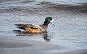BUITEN BEELD Foto: 228396