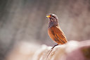 BUITEN BEELD Foto: 228492