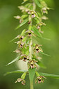 BUITEN BEELD Foto: 228533