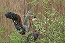BUITEN BEELD Foto: 228544