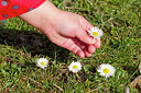 BUITEN BEELD Foto: 228554