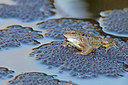 BUITEN BEELD Foto: 228570