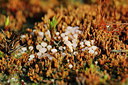 BUITEN BEELD Foto: 228655