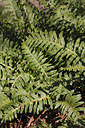 BUITEN BEELD Foto: 228658