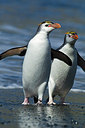 BUITEN BEELD Foto: 228688