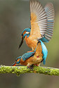 BUITEN BEELD Foto: 228704