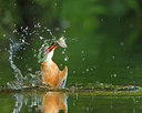 BUITEN BEELD Foto: 228707