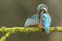 BUITEN BEELD Foto: 228717