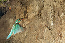 BUITEN BEELD Foto: 228733