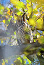 BUITEN BEELD Foto: 228773