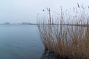 BUITEN BEELD Foto: 228787