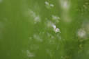 BUITEN BEELD Foto: 228819