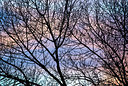 BUITEN BEELD Foto: 228831