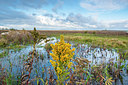 BUITEN BEELD Foto: 228844