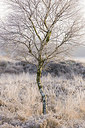 BUITEN BEELD Foto: 228919