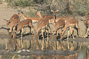 BUITEN BEELD Foto: 22012