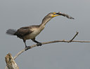 BUITEN BEELD Foto: 22023
