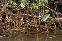 BUITEN BEELD Foto: 22110