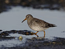 BUITEN BEELD Foto: 22274