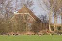 BUITEN BEELD Foto: 22285