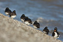 BUITEN BEELD Foto: 22294