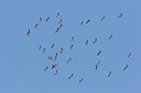 BUITEN BEELD Foto: 22315