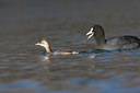 BUITEN BEELD Foto: 22340