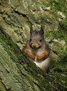 BUITEN BEELD Foto: 22367