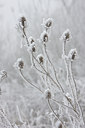 BUITEN BEELD Foto: 22415