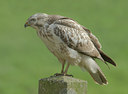BUITEN BEELD Foto: 22424