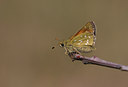 BUITEN BEELD Foto: 22435