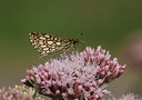 BUITEN BEELD Foto: 22456