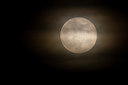 BUITEN BEELD Foto: 22476