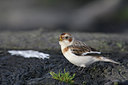 BUITEN BEELD Foto: 22501