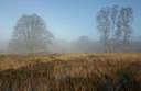 BUITEN BEELD Foto: 22575