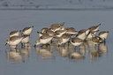 BUITEN BEELD Foto: 22598