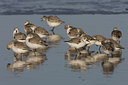 BUITEN BEELD Foto: 22599