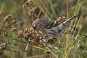 BUITEN BEELD Foto: 22612