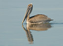 BUITEN BEELD Foto: 22617