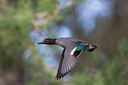 BUITEN BEELD Foto: 22629
