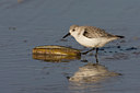 BUITEN BEELD Foto: 22638