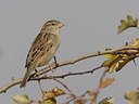 BUITEN BEELD Foto: 22672
