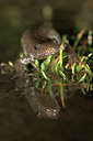 BUITEN BEELD Foto: 22707